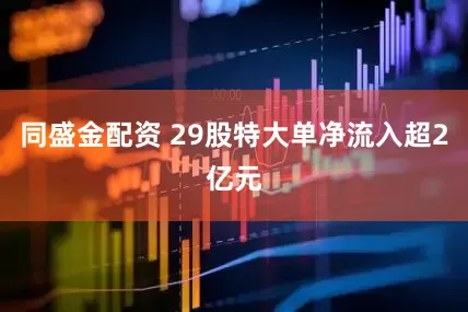 同盛金配资 29股特大单净流入超2亿元
